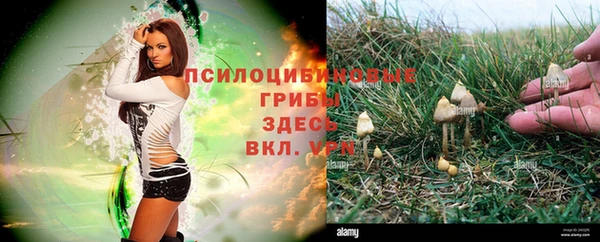 мескалин Абинск