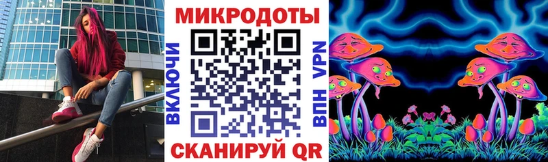 наркошоп Ярославль shop наркотические препараты Псилоцибиновые грибы Cubensis